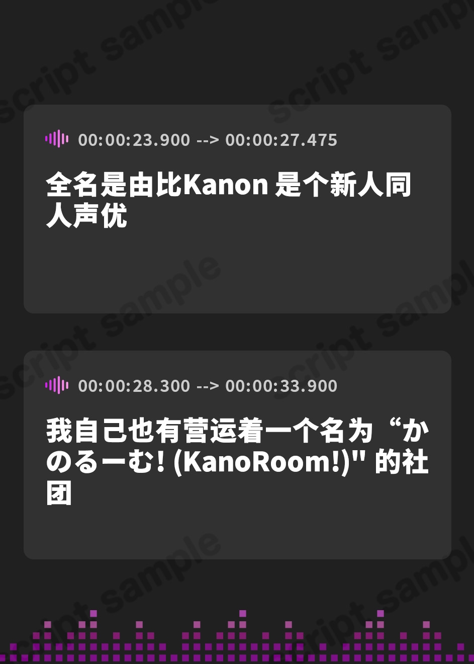 【簡体中文版】【5本まとめて特別価格!】実演シリーズ コレクションパック vol.5
