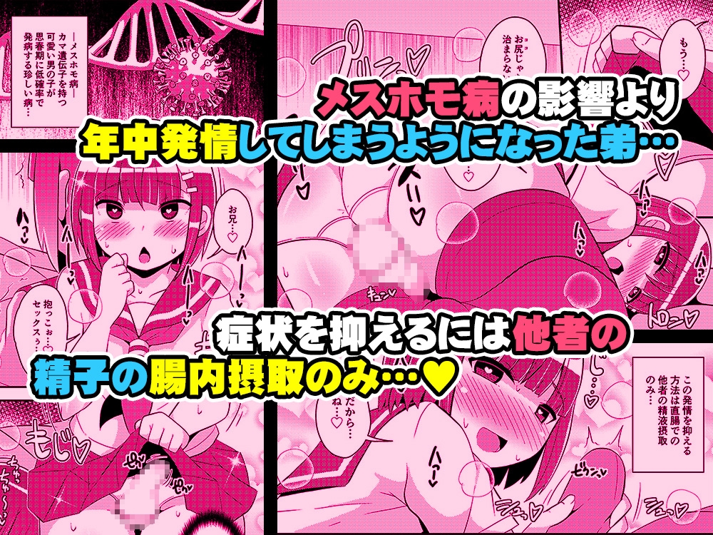 発情弟(オカマ)の性処理係