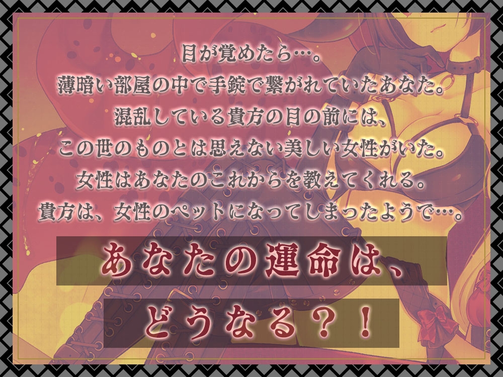 女王様によるマゾ奴隷育成記録