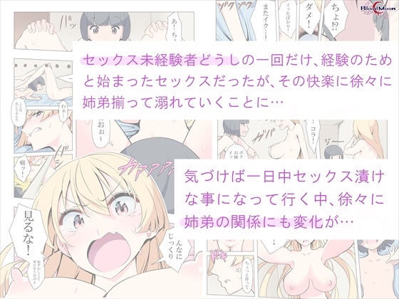 お姉ちゃんお願い!1回でいいからセックスさせて!