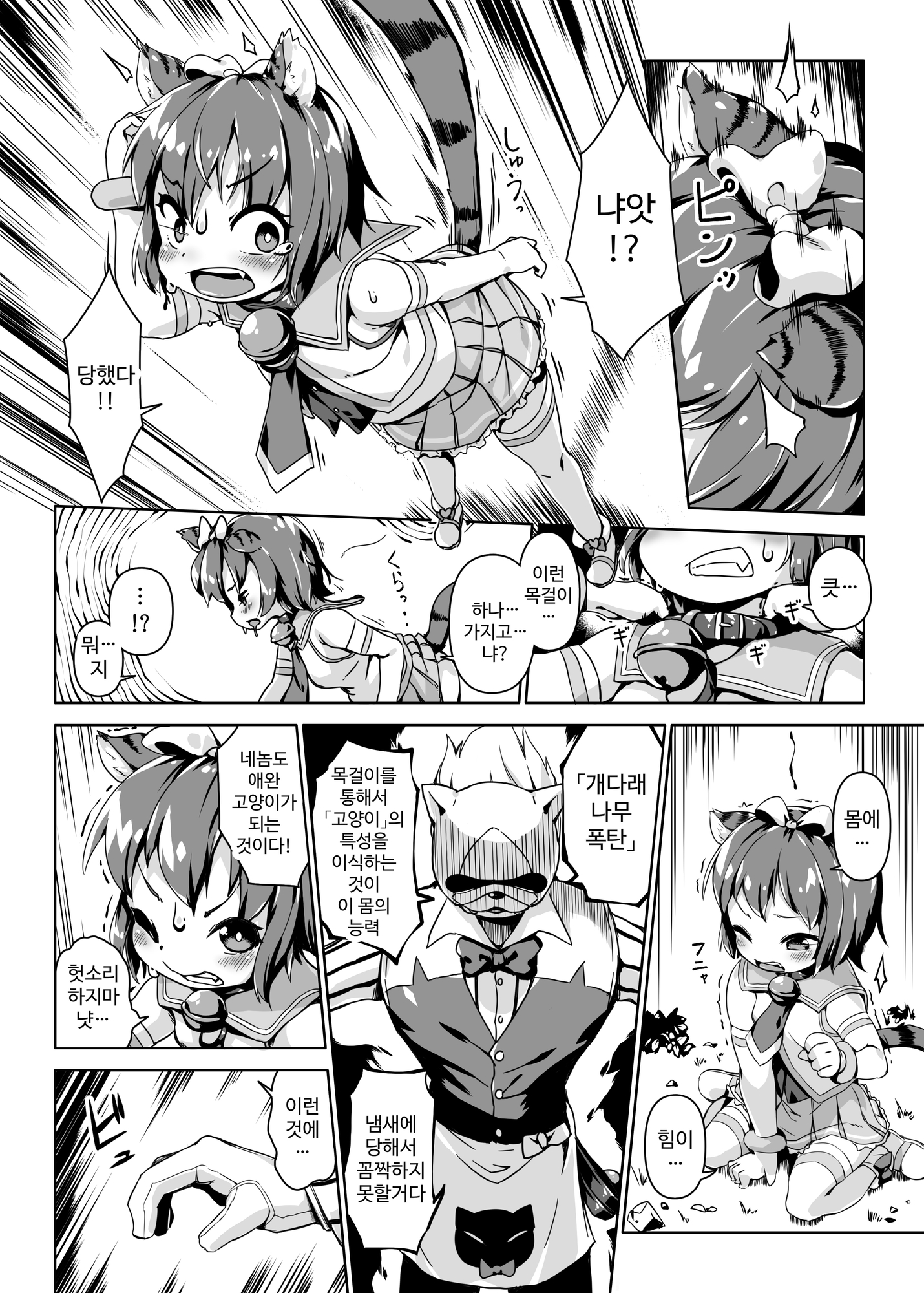 【韓国語版】ねこ堕ちシャインフェアリーズ