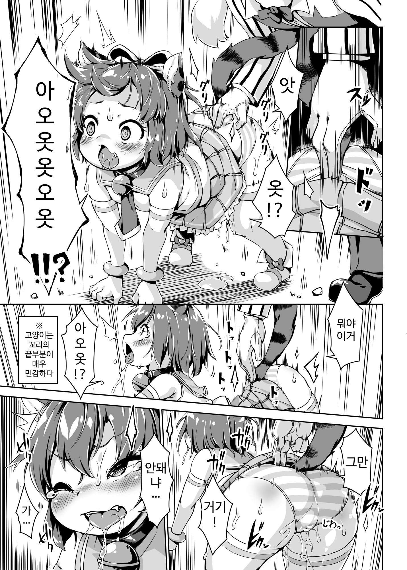 【韓国語版】ねこ堕ちシャインフェアリーズ