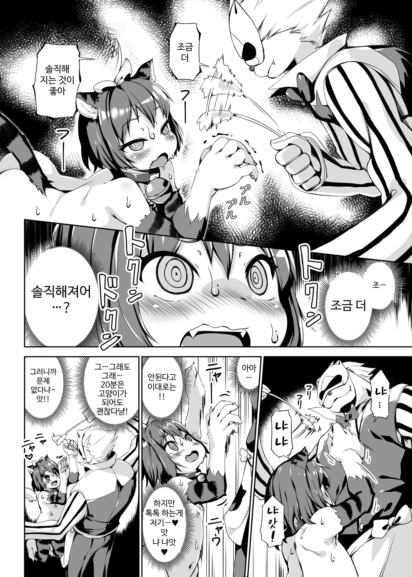 【韓国語版】ねこ堕ちシャインフェアリーズ