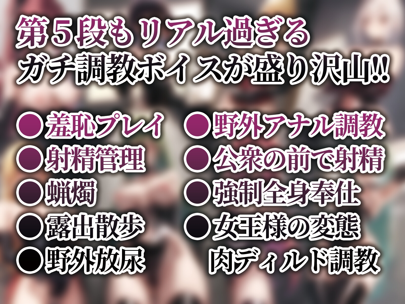 女王様図鑑 変態M男向けボイス集 Vol.5