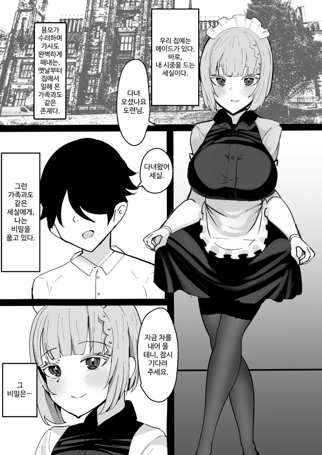 【韓国語版】家族同然のメイドの睡眠中にえっちな悪戯しまくる本