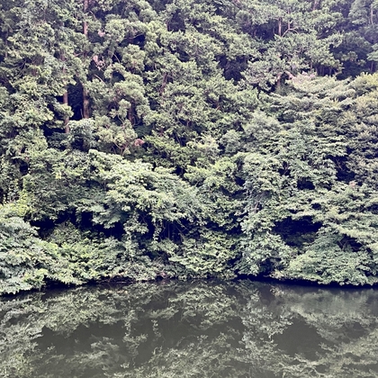 20230709 06:21pm 散在ガ池森林公園