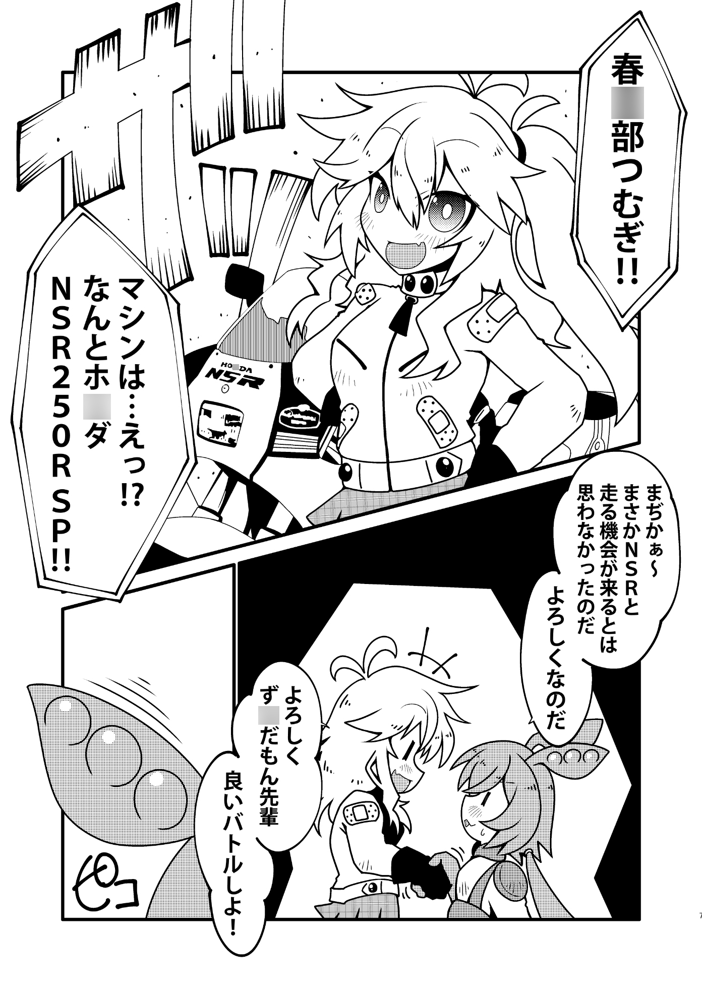 バイカロイズ紬