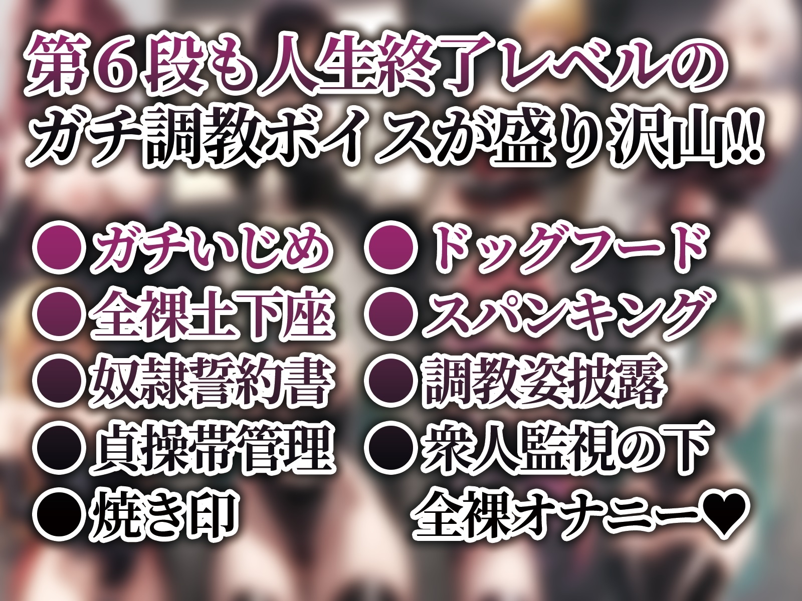 女王様図鑑 変態M男向けボイス集 Vol.6