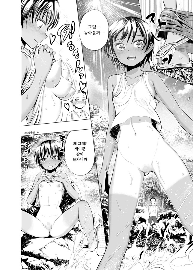 【韓国語版】ぼくたちのなつやすみ