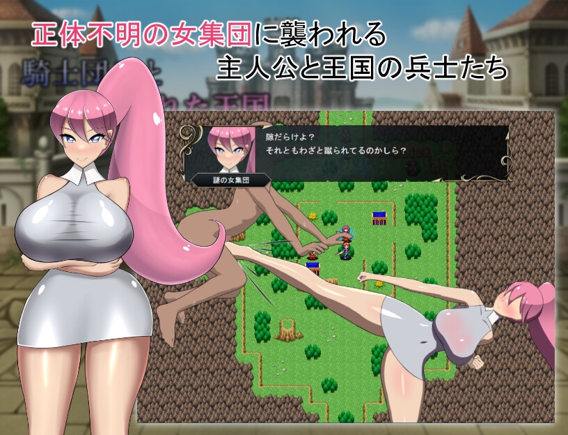 騎士団兵と狙われた王国