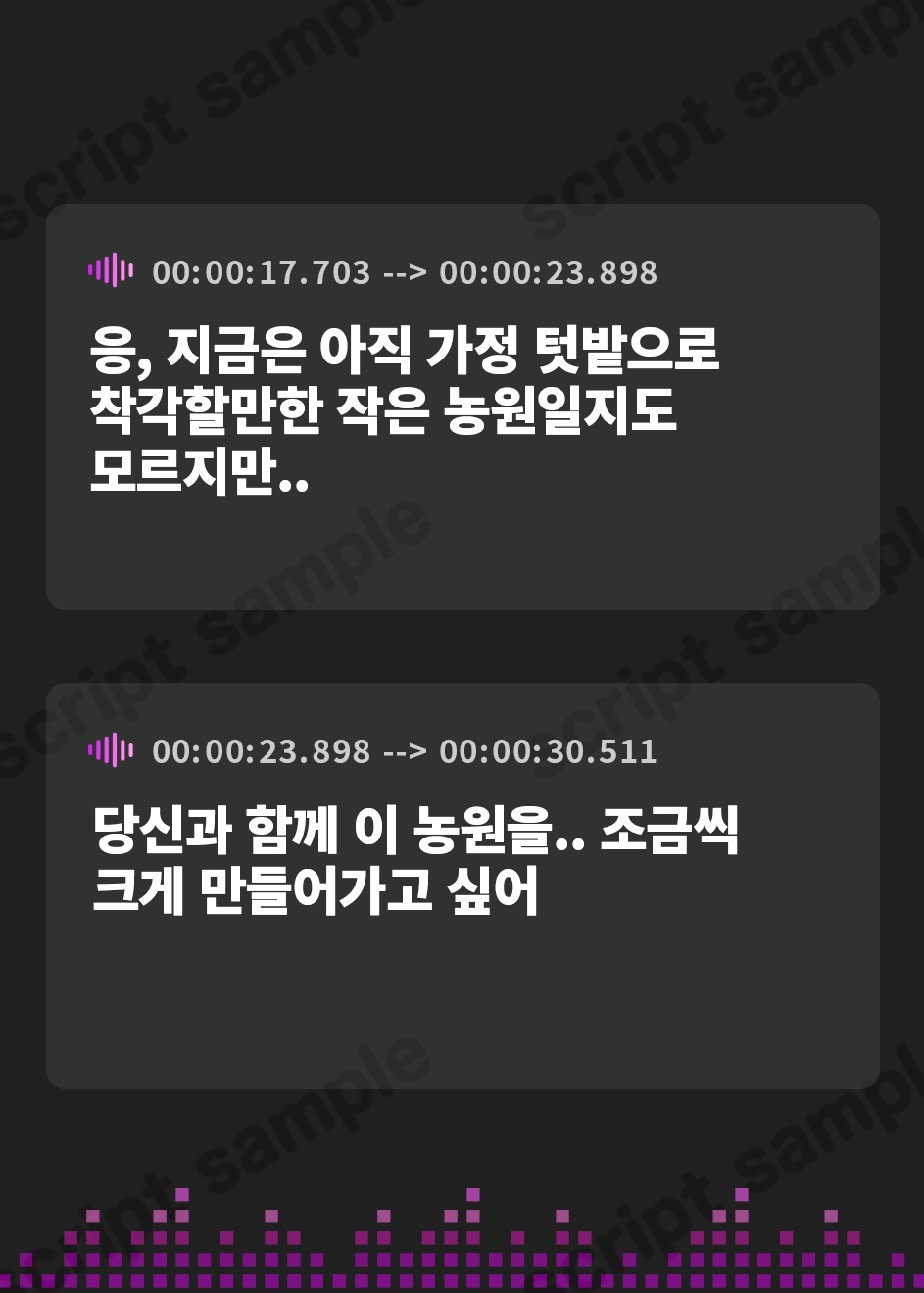 【韓国語版】【NTR/寝取り】新妻エルフ リンリアの愛妊淫療 ～ランドガルト城下町の寝取られ診陵館～