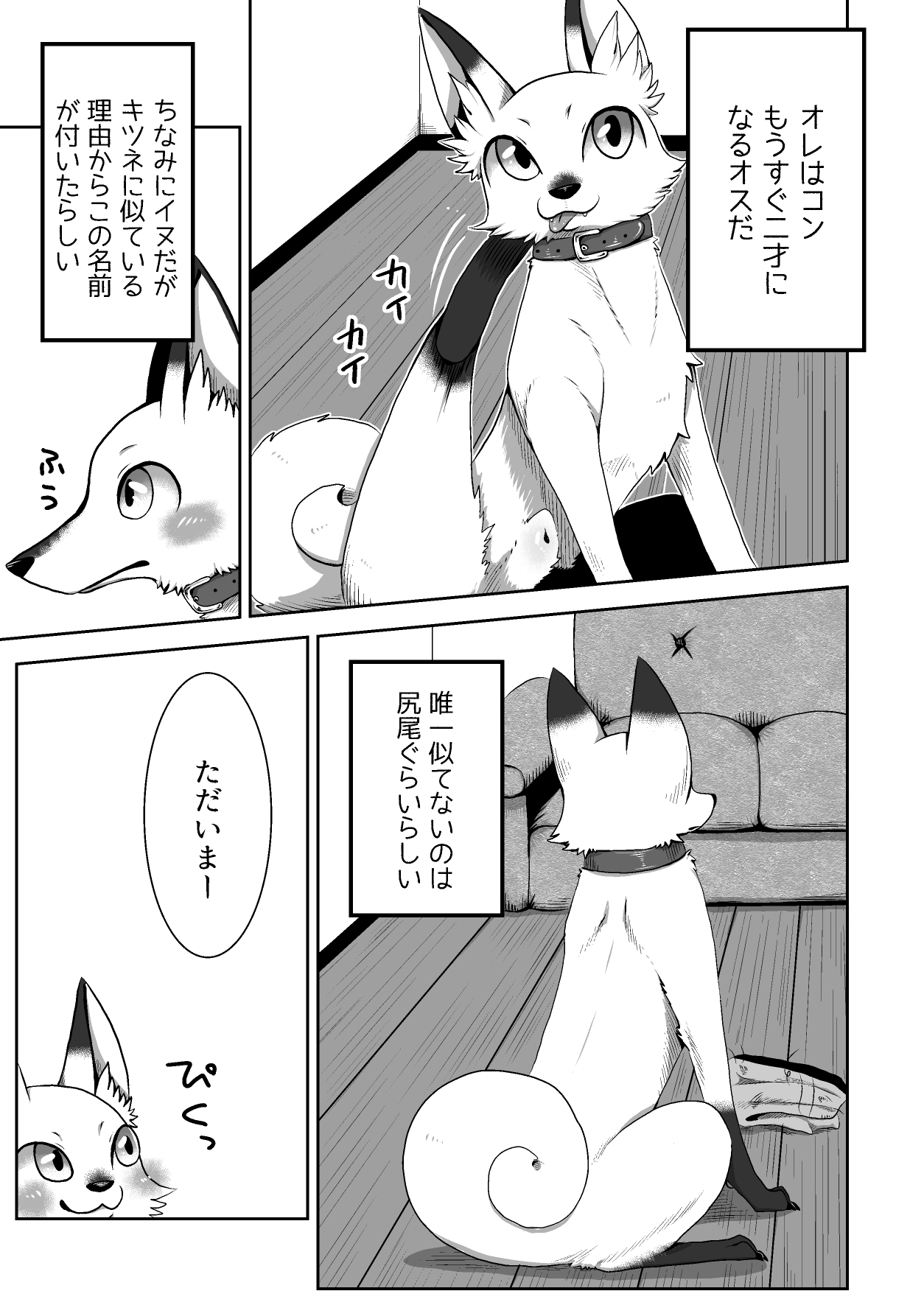 ここ掘れわんわん!ぷらす!