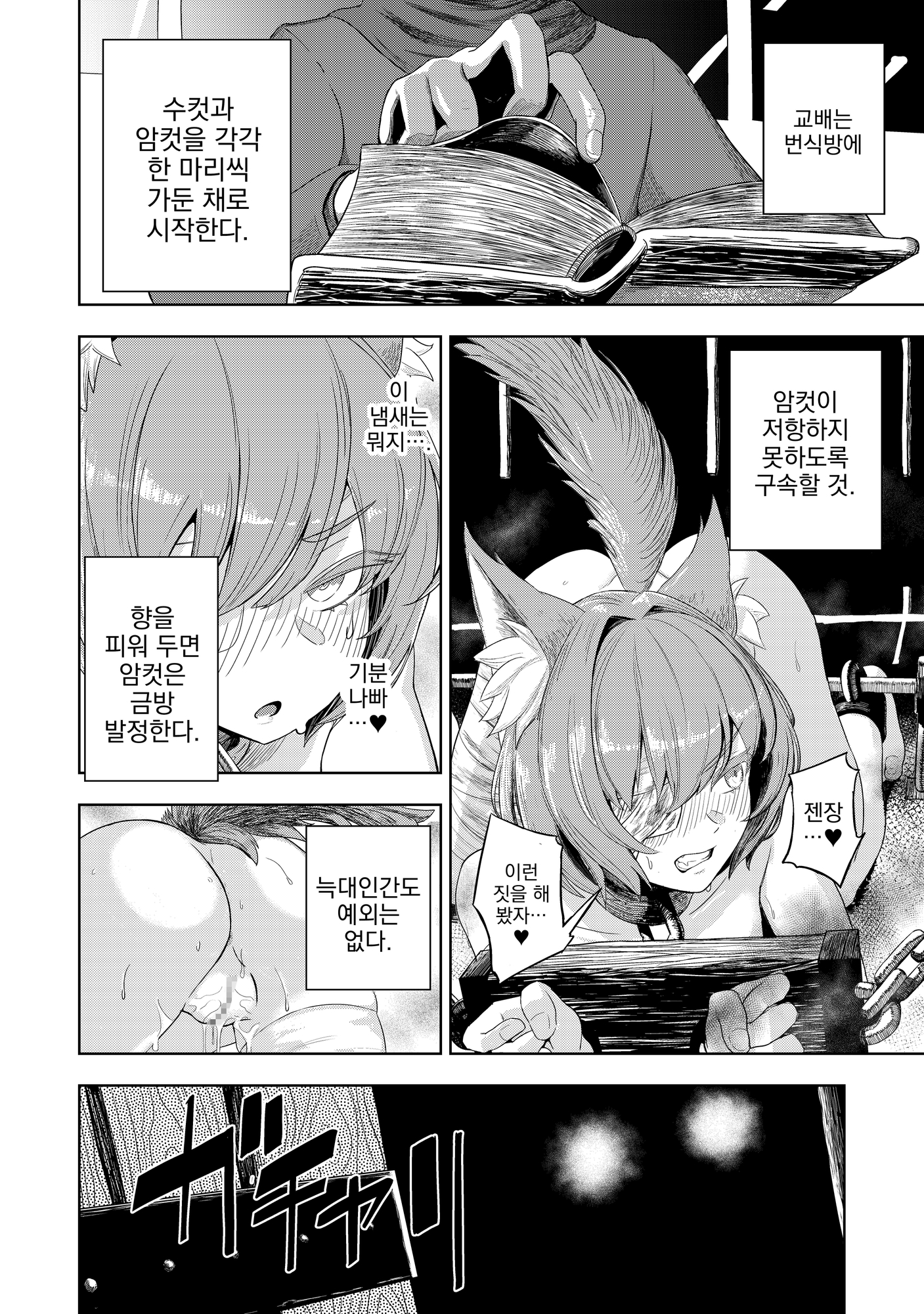 【韓国語版】純愛繁殖房～狼少女の躾け方～