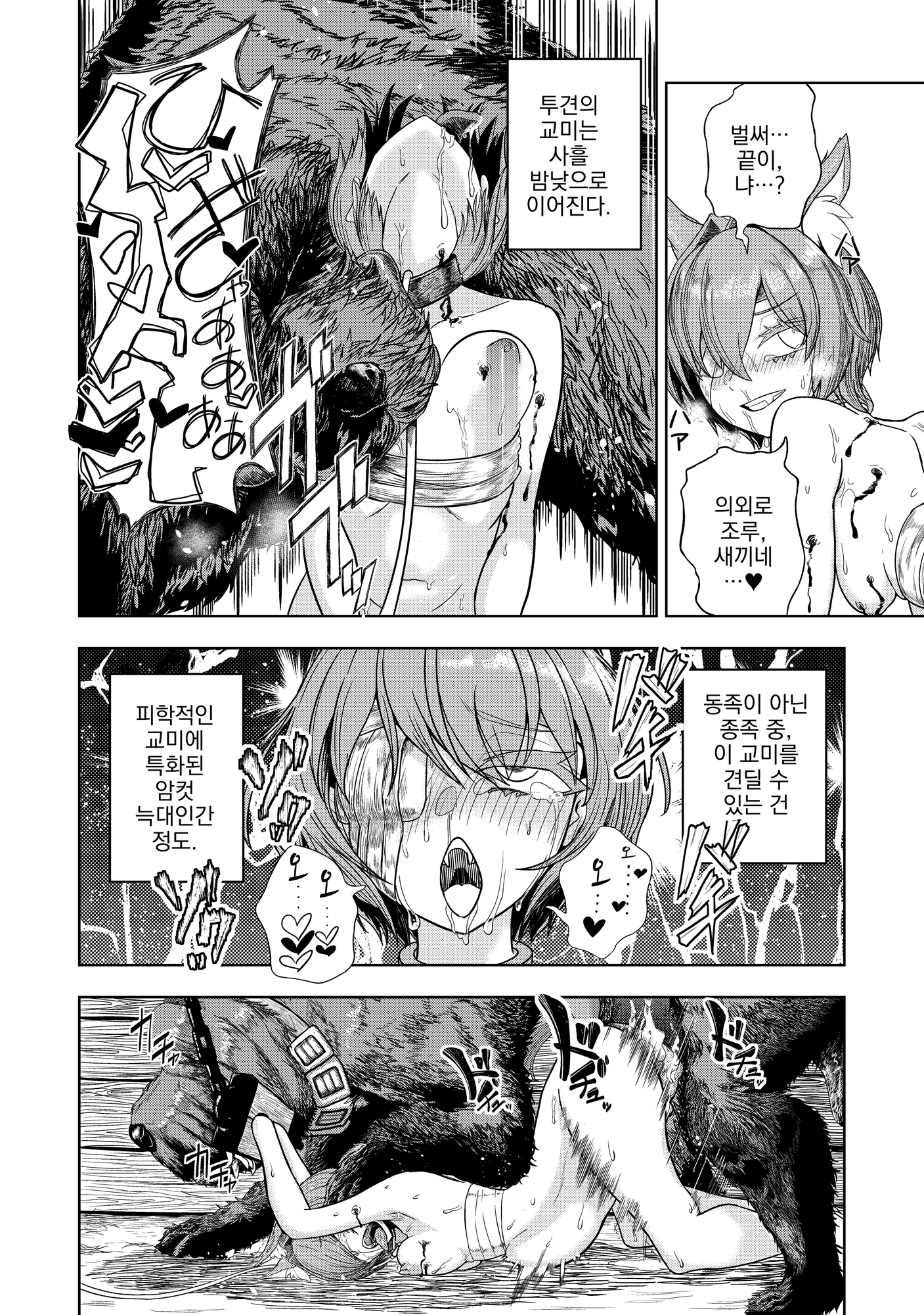 【韓国語版】純愛繁殖房～狼少女の躾け方～