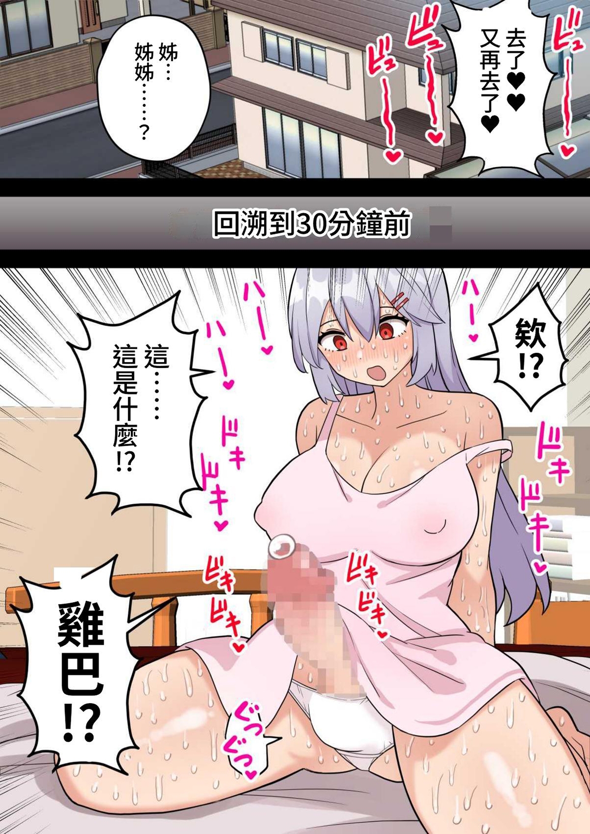 【繁体中文版】将来の夢はお姉ちゃんの『ちんぽケース』になることです