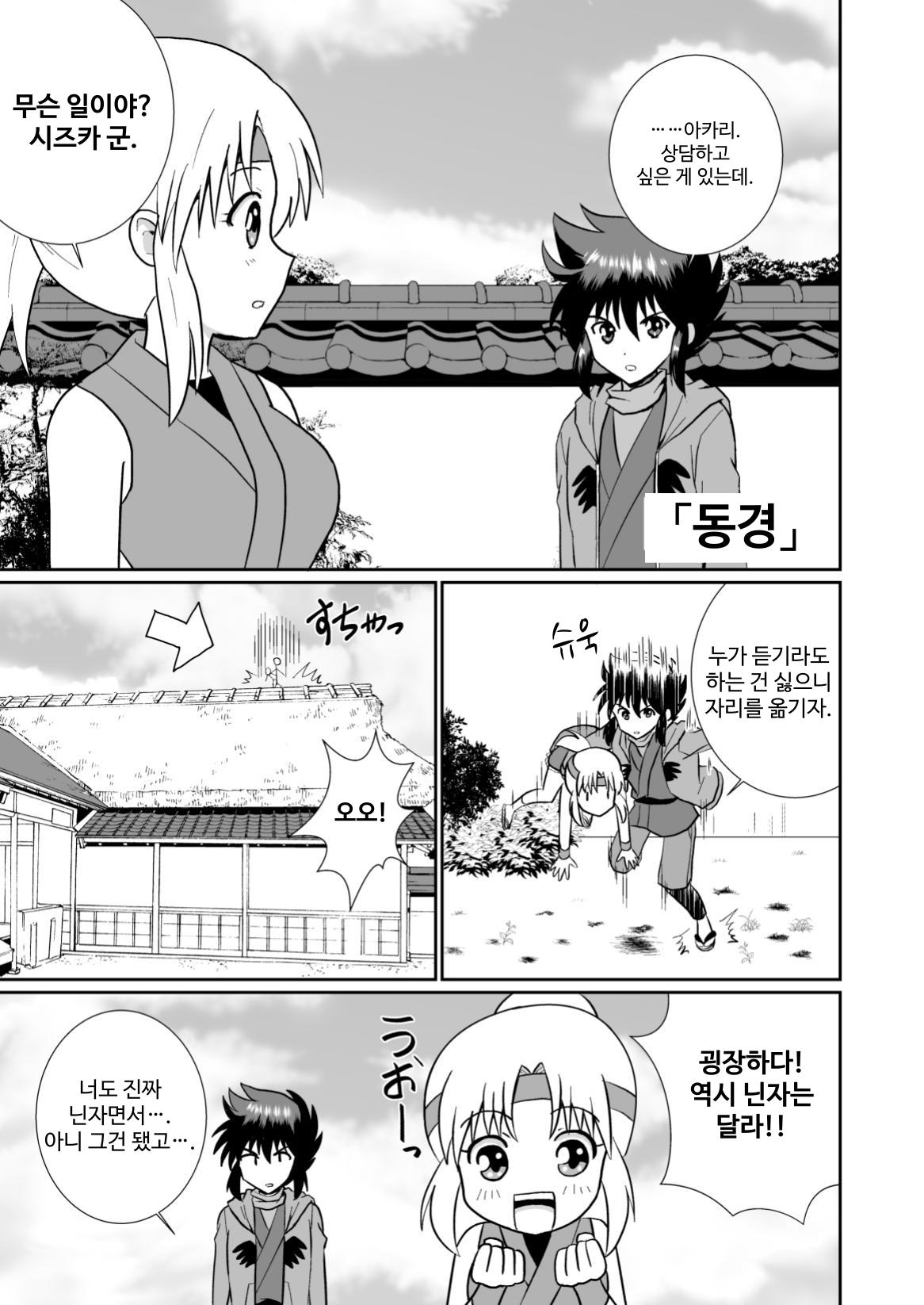 【韓国語版】ふうにん!ニノ巻【DL版】