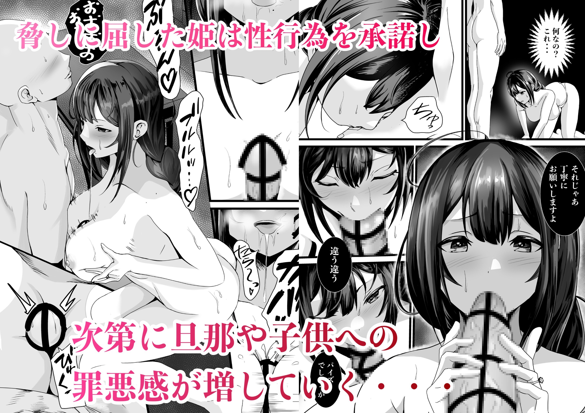 童貞オタ・・・ゲームで出会った人妻(姫)を寝取って中出しに成功するw