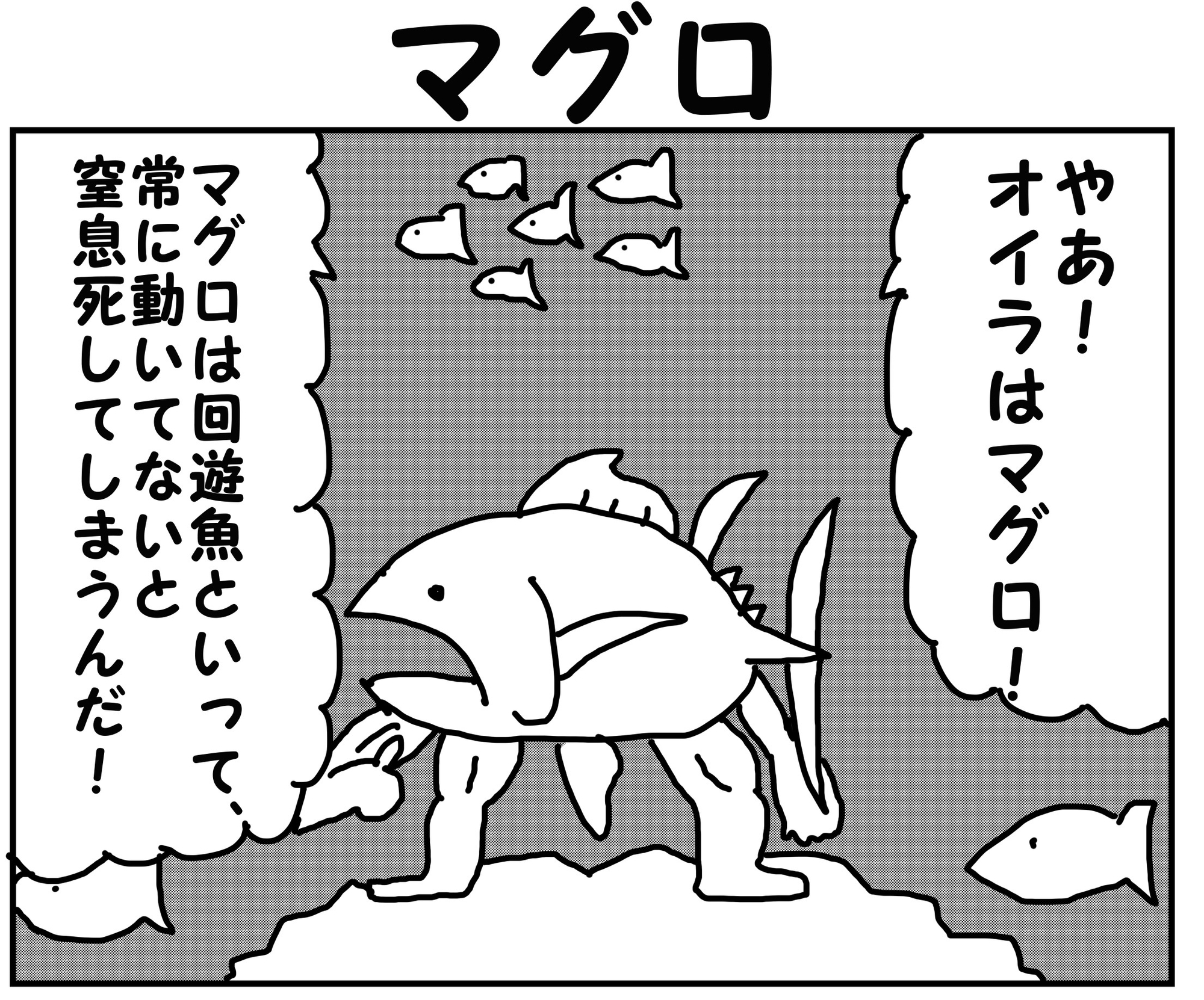2コマ漫画「マグロ」