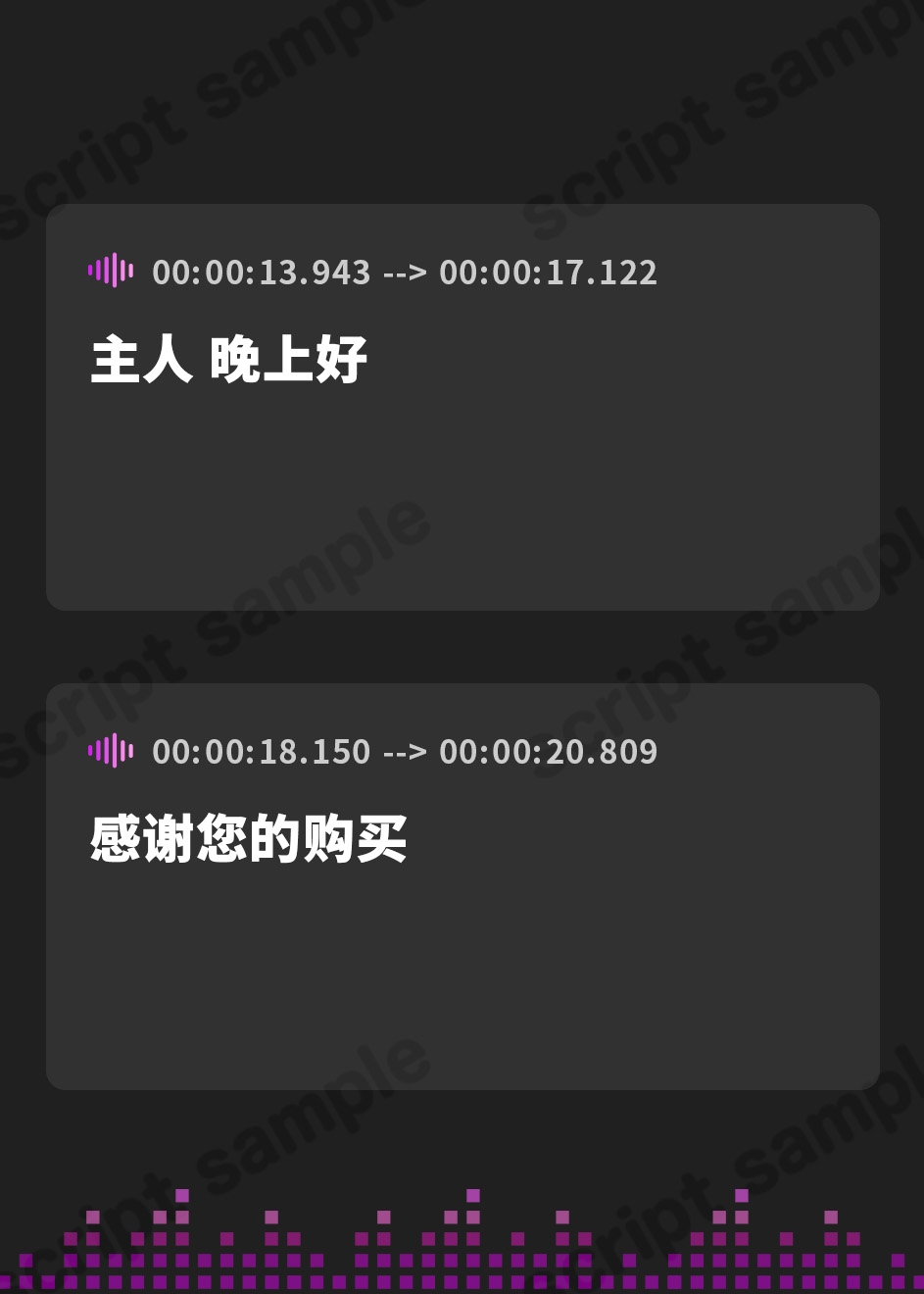 【簡体中文版】SexOnlyDoll【フォーリーサウンド】