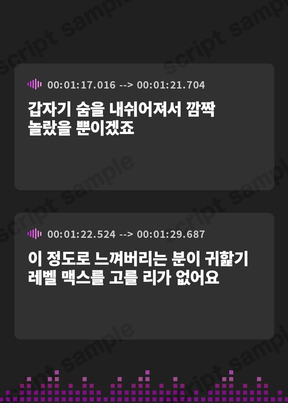【韓国語版】【全編ぐっぽり両耳圧迫舐め♪】圧迫耳舐め特化型Wセクサロイド～耳奥舐めに特化したWセクサロイドによる無感情事務的サンドイッチご奉仕～