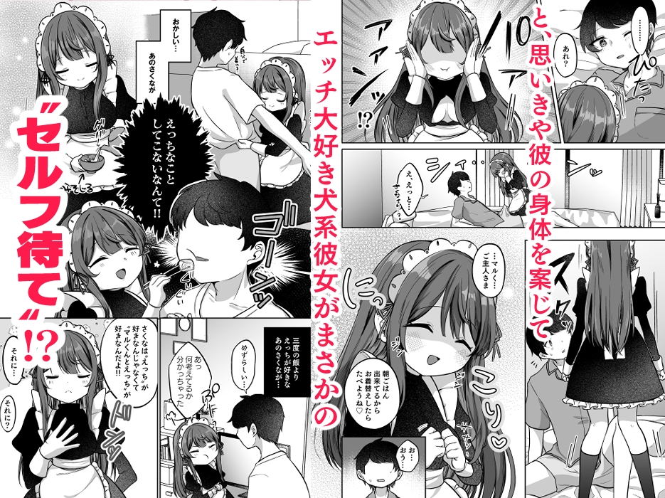 望月さくなは「待て」がデキない!3～ご奉仕えっち編～