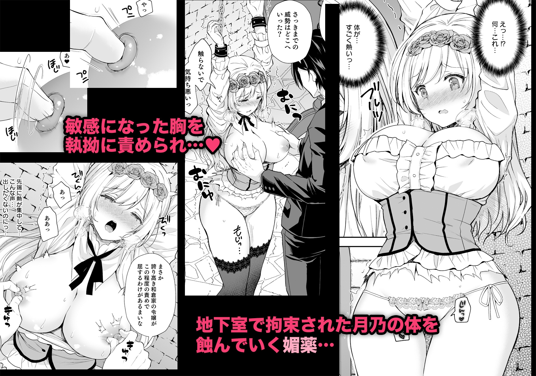 隷嬢の小夜曲<セレナーデ> 第一楽章