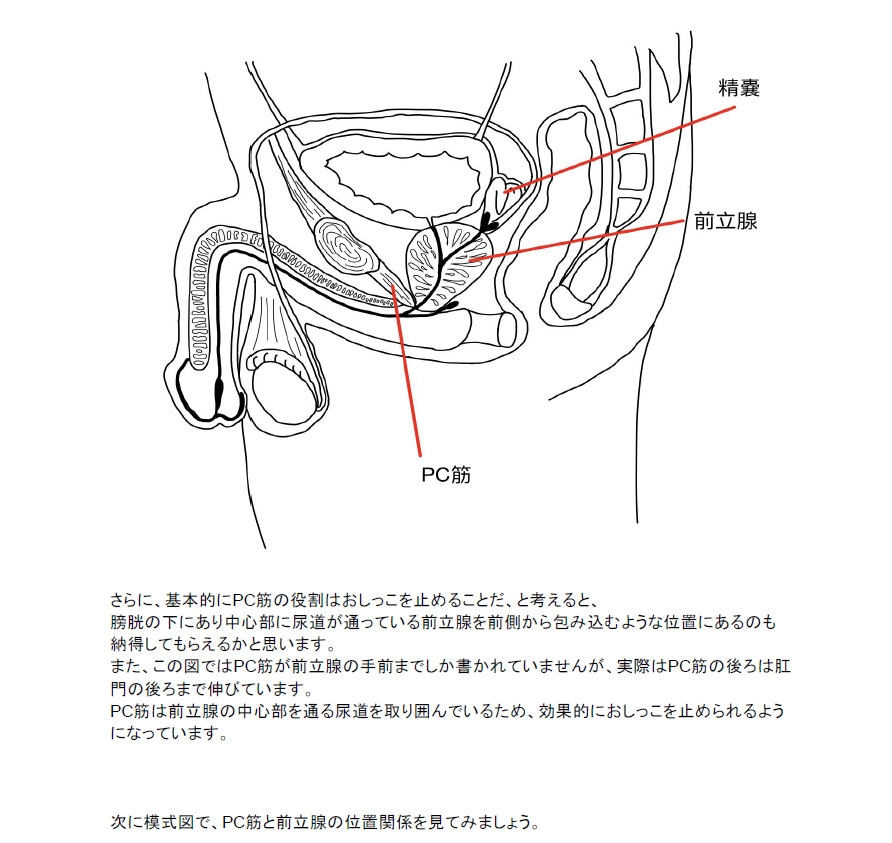 【医学生監修】ダウナーお姉さんといっしょに喘いでメスイキに近づく 乳首&前立腺 性感開発トレーニング
