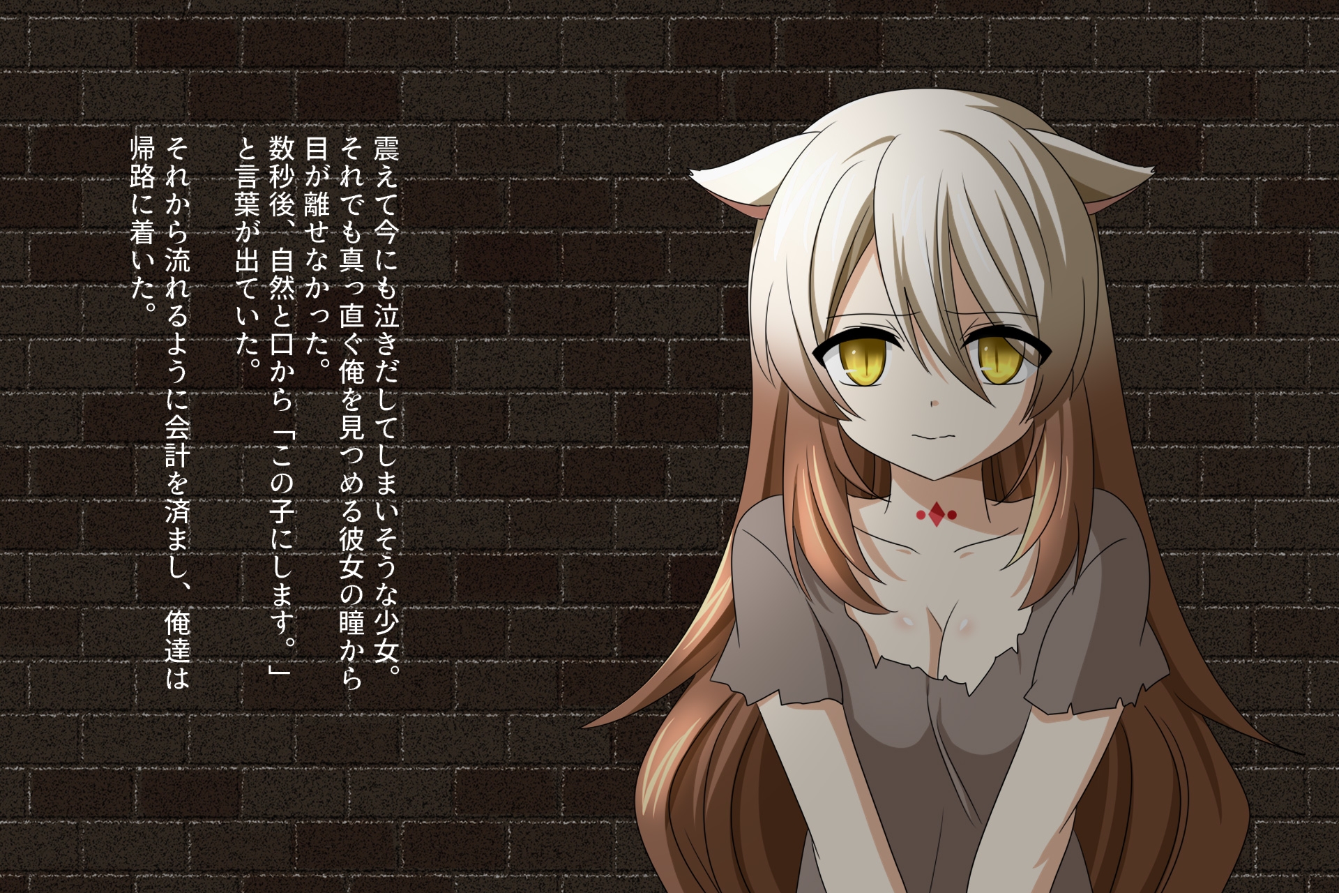 獣人奴○の契約事情