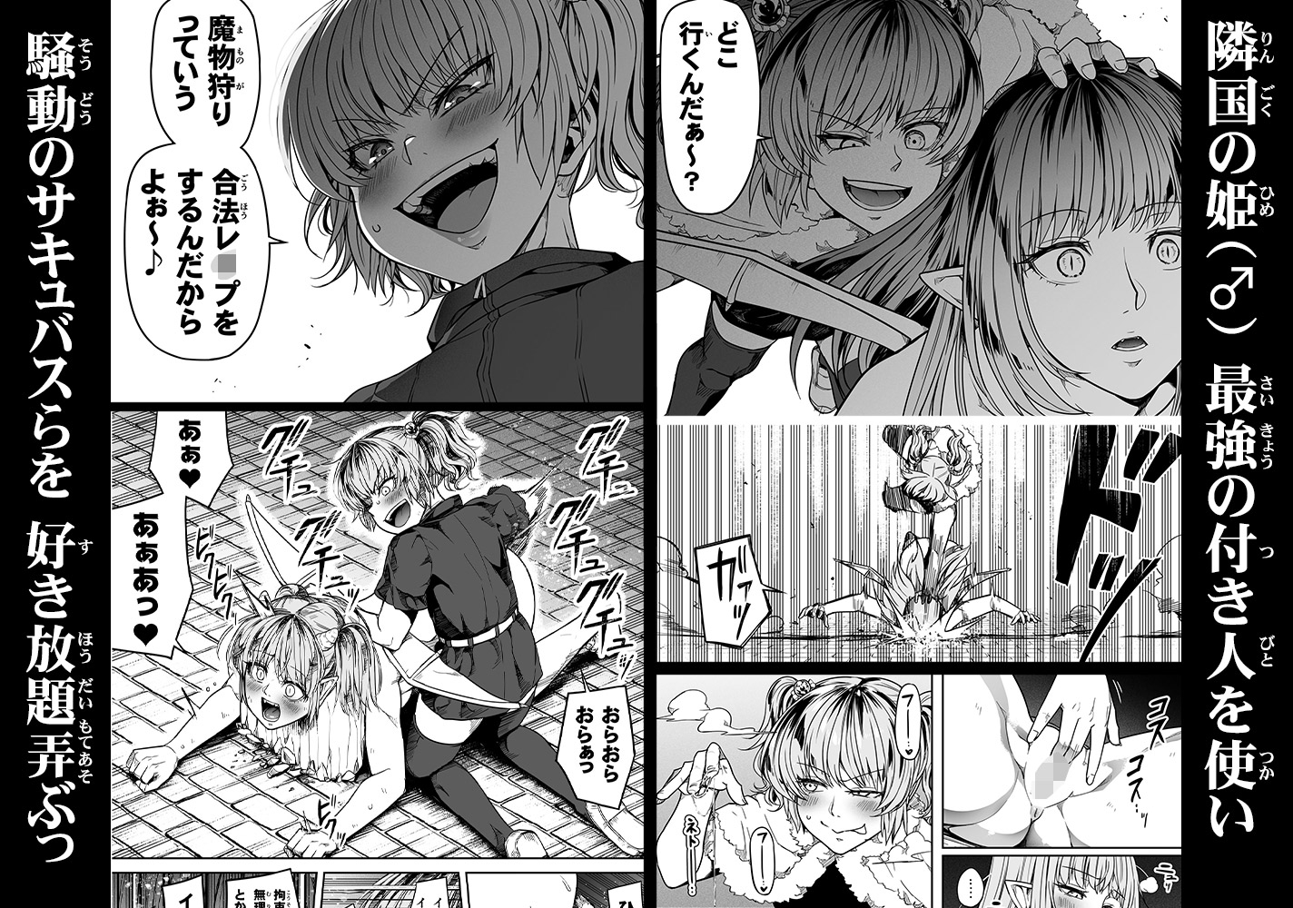 力あるサキュバスは性欲を満たしたいだけ(13)