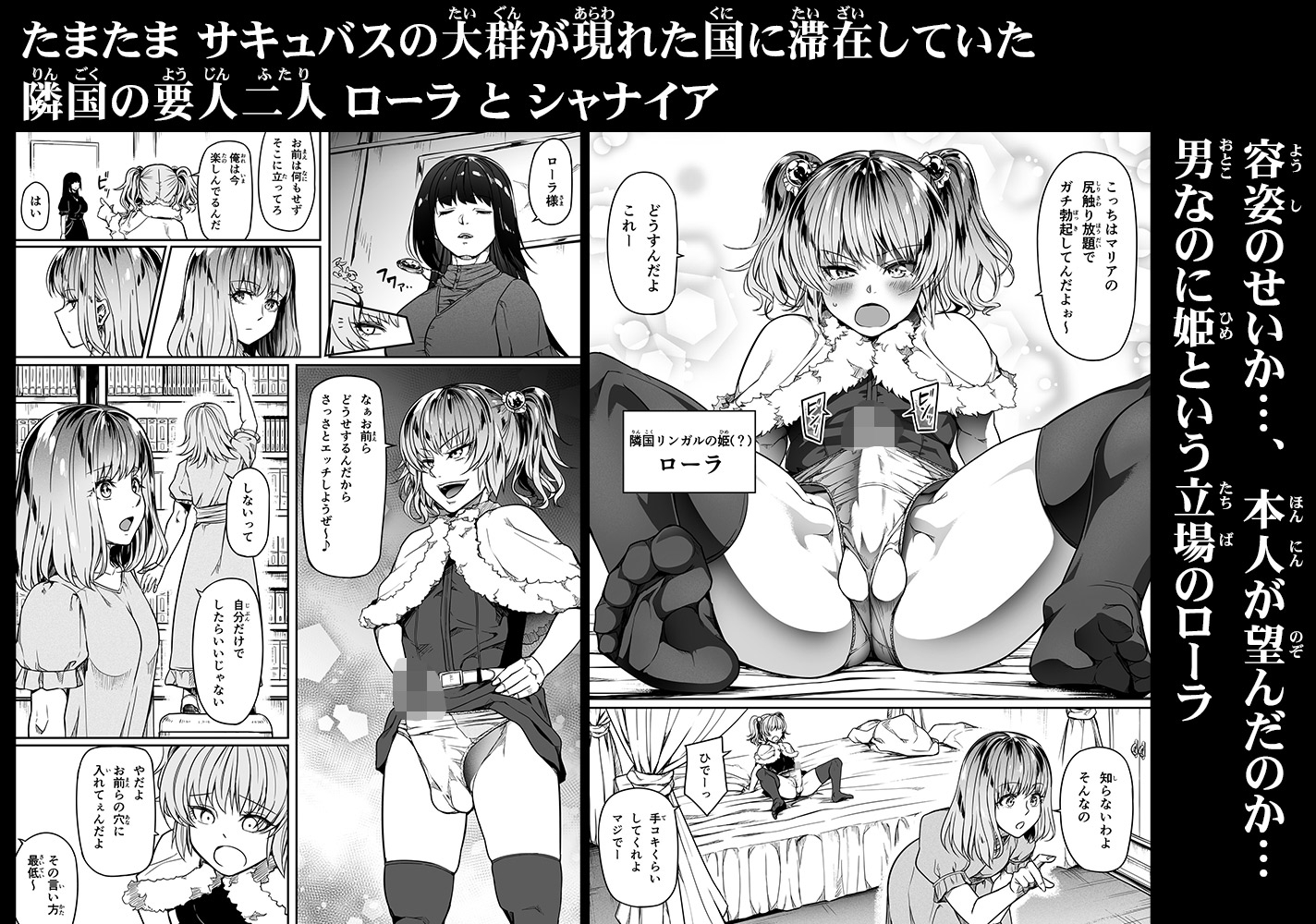 力あるサキュバスは性欲を満たしたいだけ(13)
