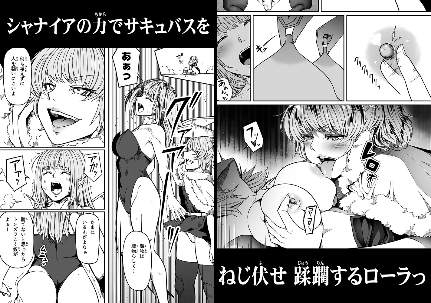 力あるサキュバスは性欲を満たしたいだけ(13)