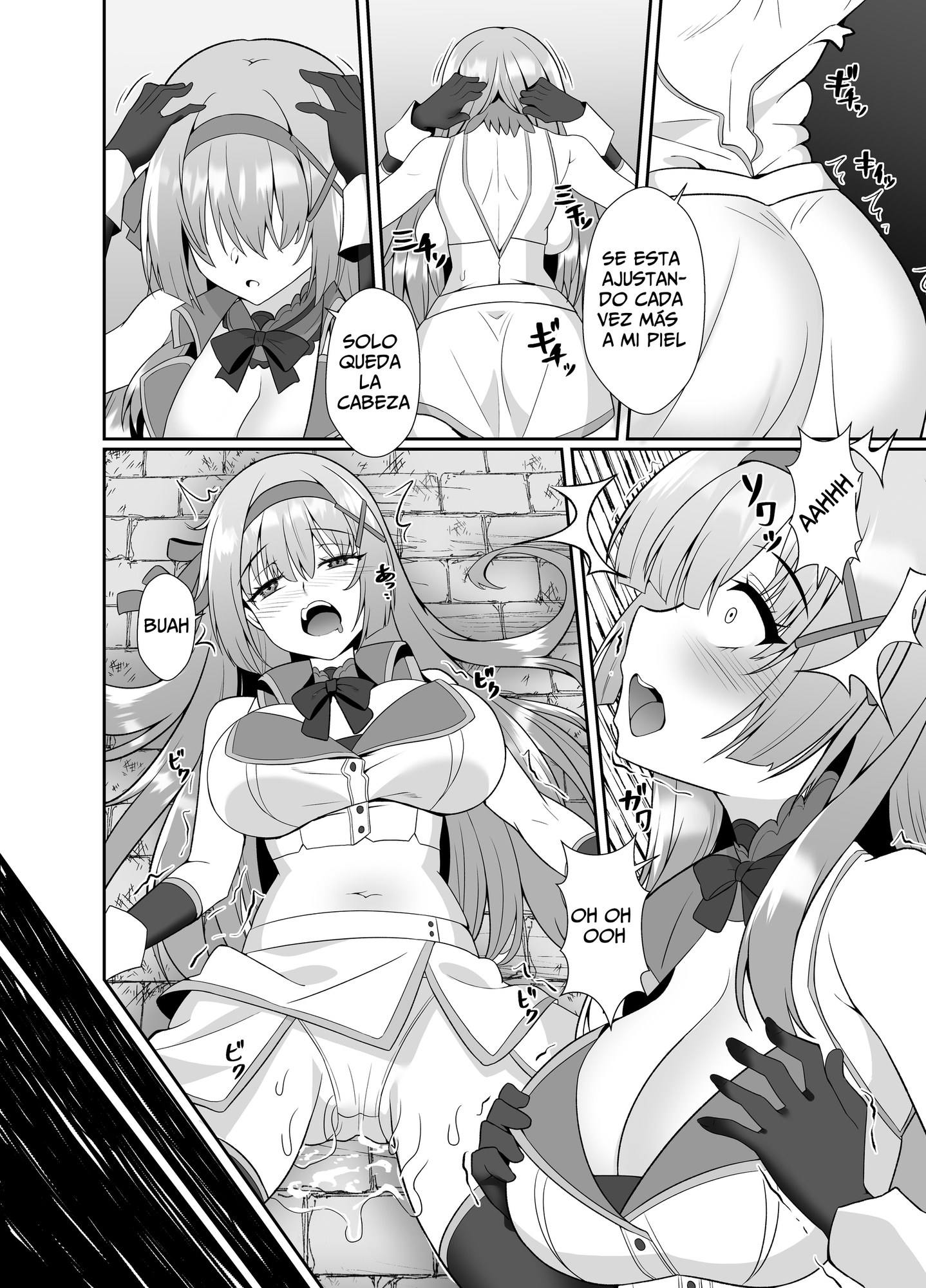 【スペイン語版】姫様の人生いただきます ―皮化されておっさんに身体を乗っ取られてしまう姫騎士物語―