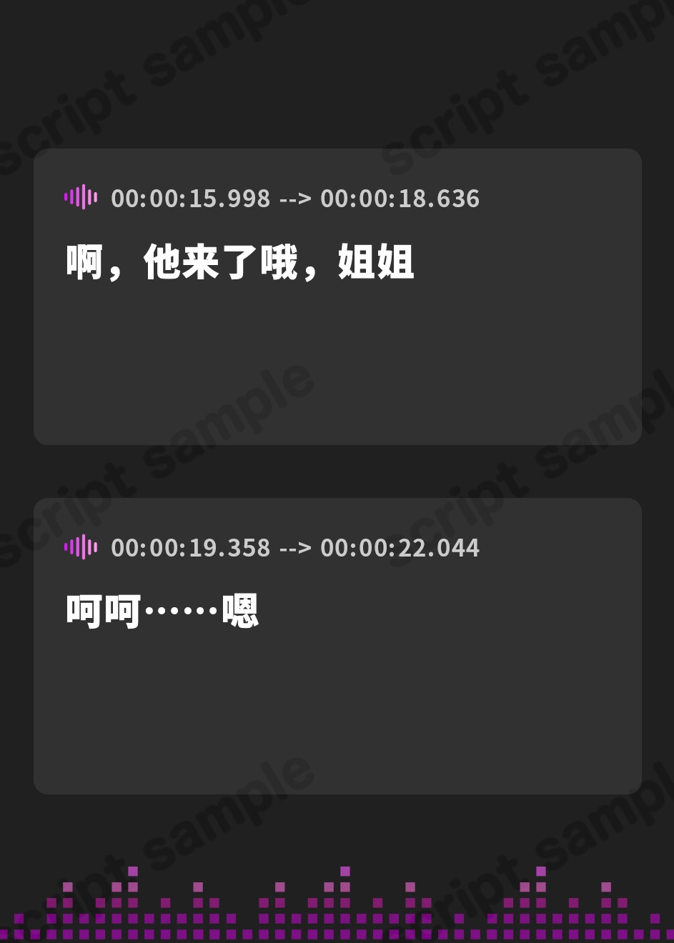 【簡体中文版】海姉妹 ～長女・希海&五女・真凜 水着姿の姉妹がおっとり&一所懸命にあなたを癒やすASMR～【CV.佐藤聡美&鈴木絵理】