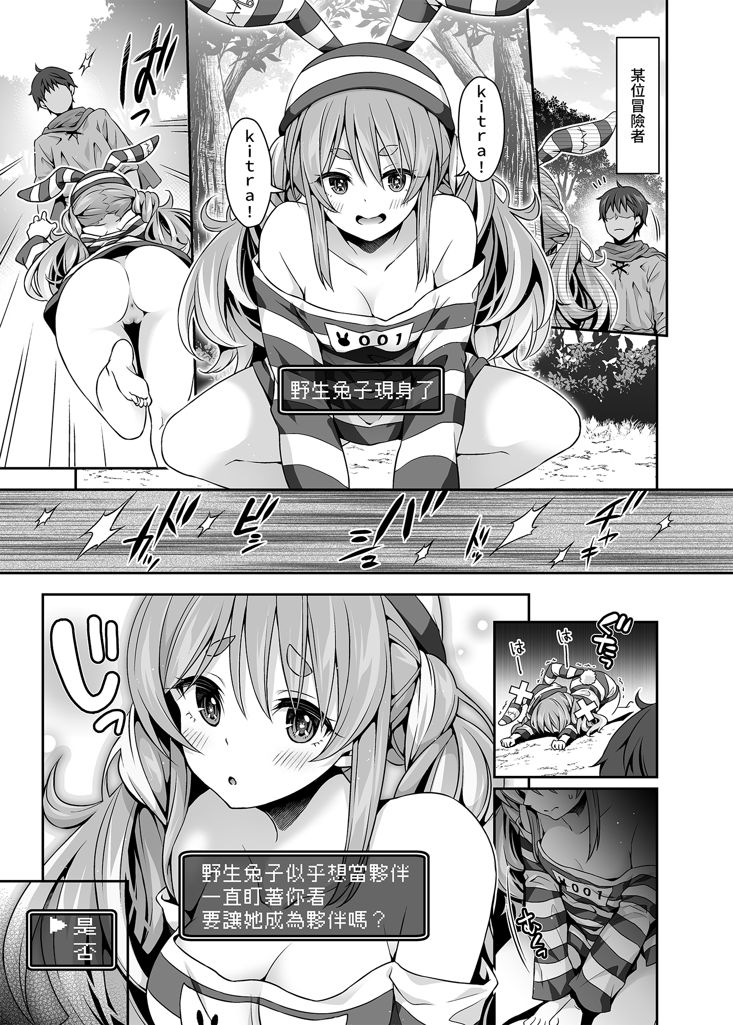 野生兔子似乎想當夥伴一直盯著你看