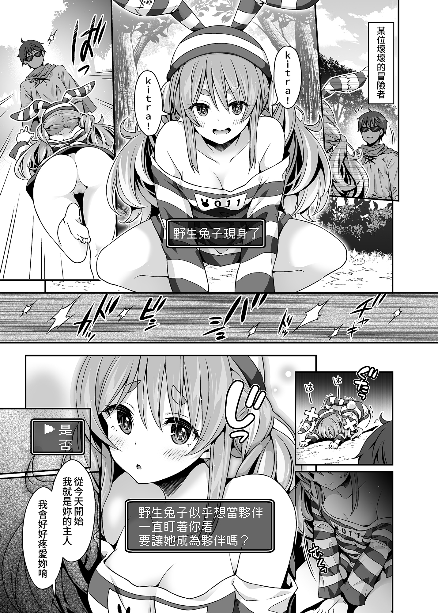 野生兔子似乎想當夥伴一直盯著你看Darkness