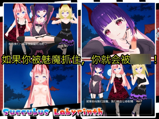 Succubus Labyrinth and SUCCUBUS NIGHTMARE -DESIRE- [中文简体版]