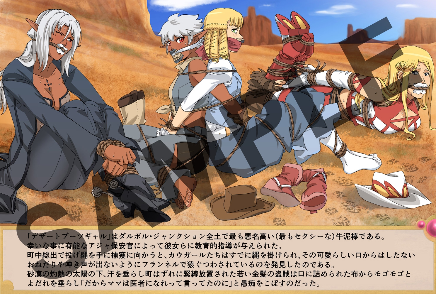 Fantasy Frontier Cosplay Artbook