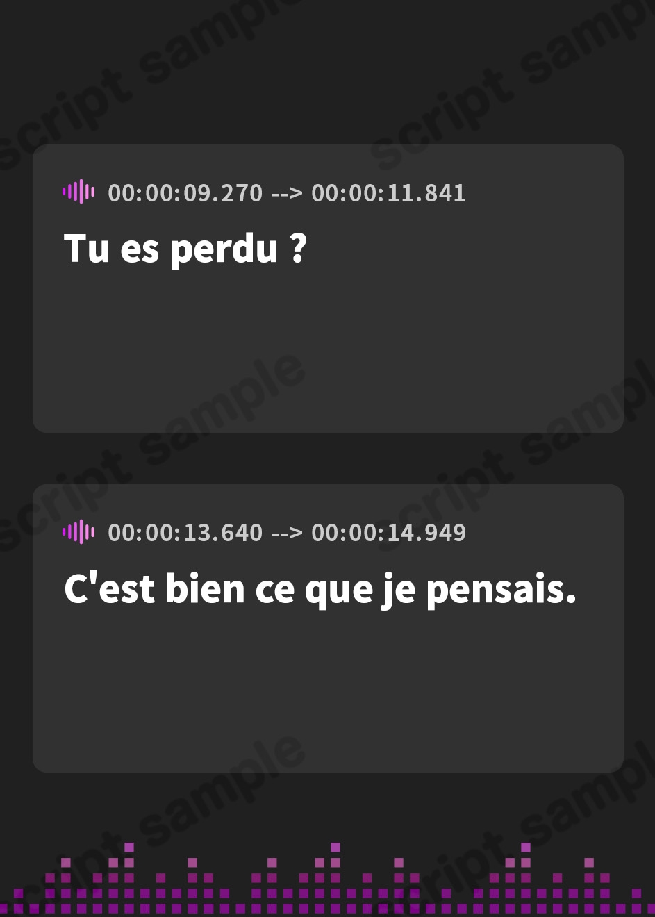 【フランス語版】好きになったのはキミだけ