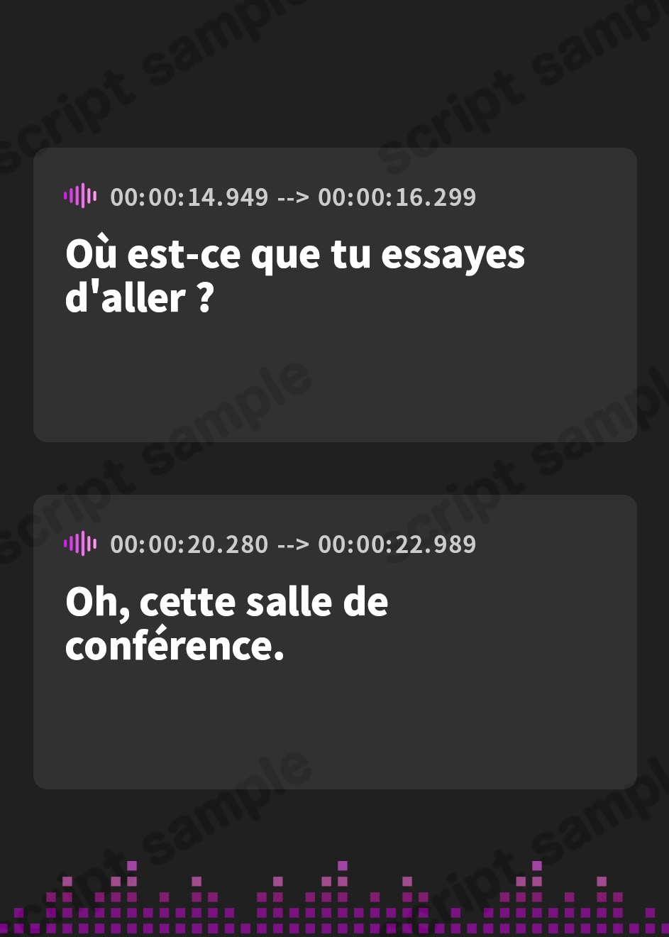 【フランス語版】好きになったのはキミだけ