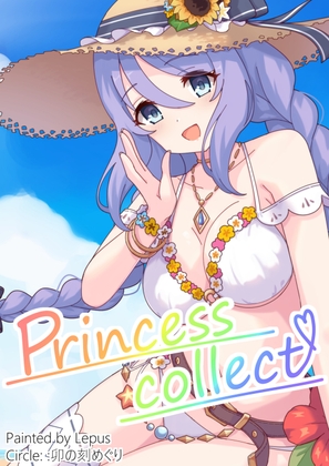 Princess collect