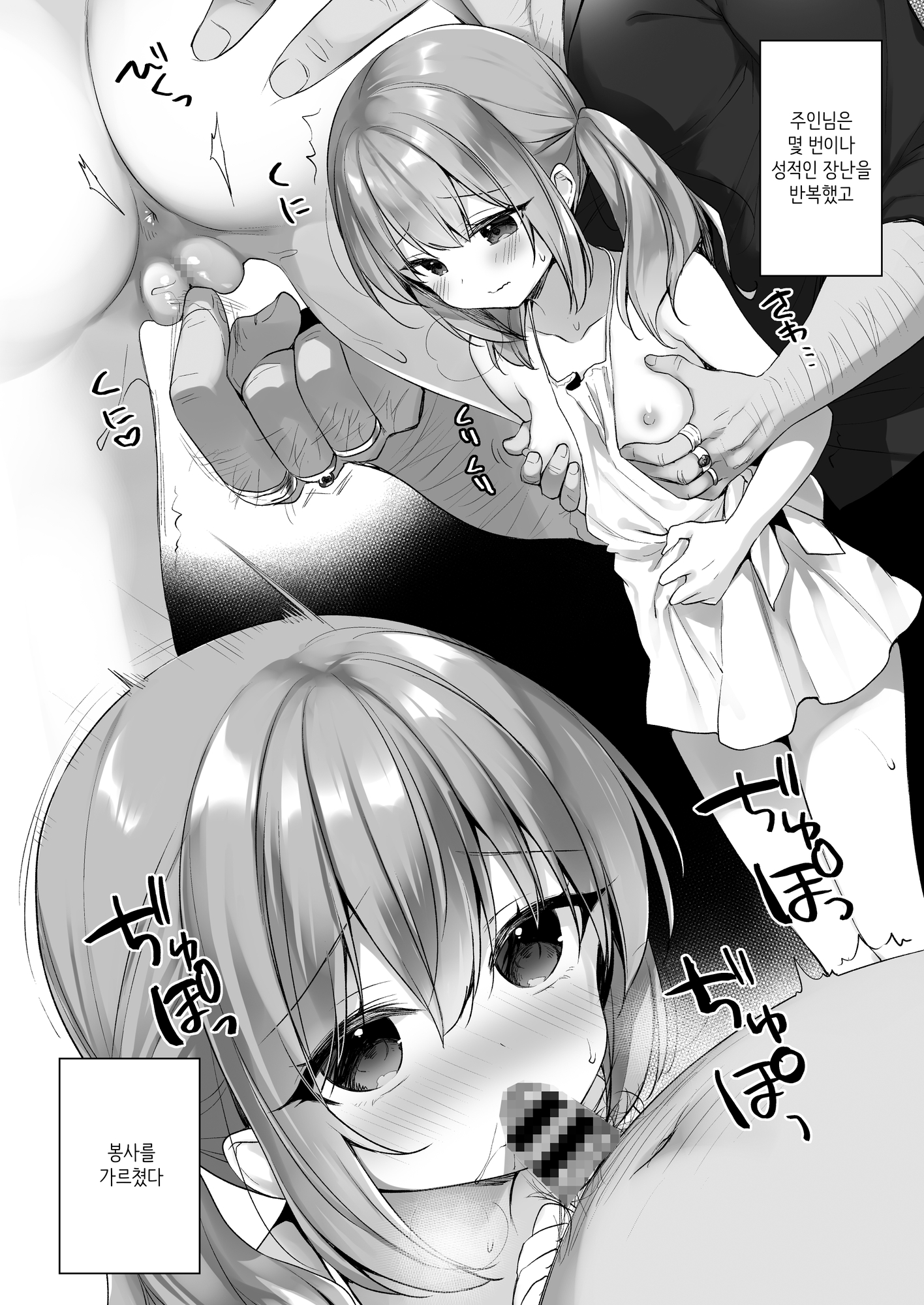 【韓国語版】堕天計画 もう一人の守護者編