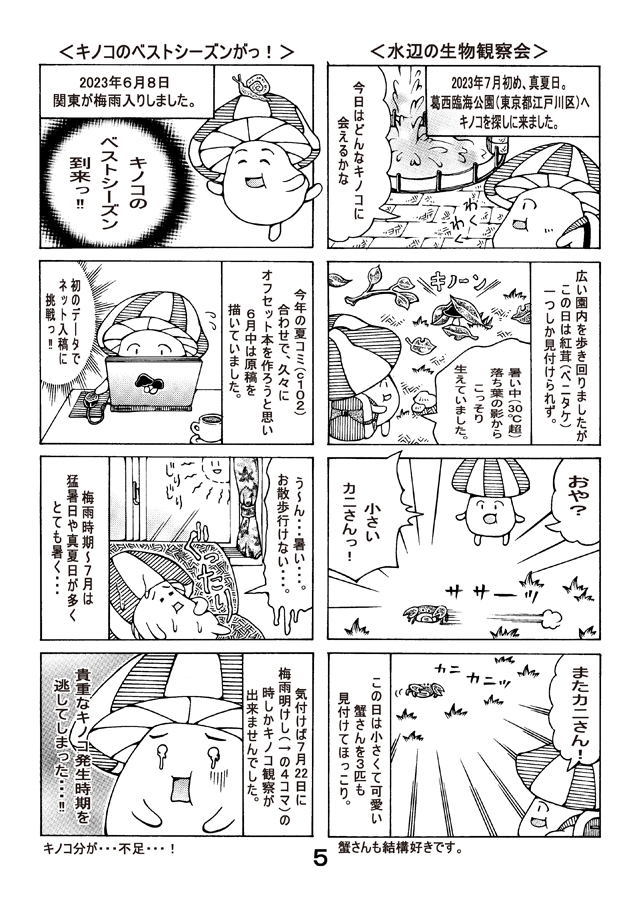 茸観賞放浪記 2023年夏のキノコ達