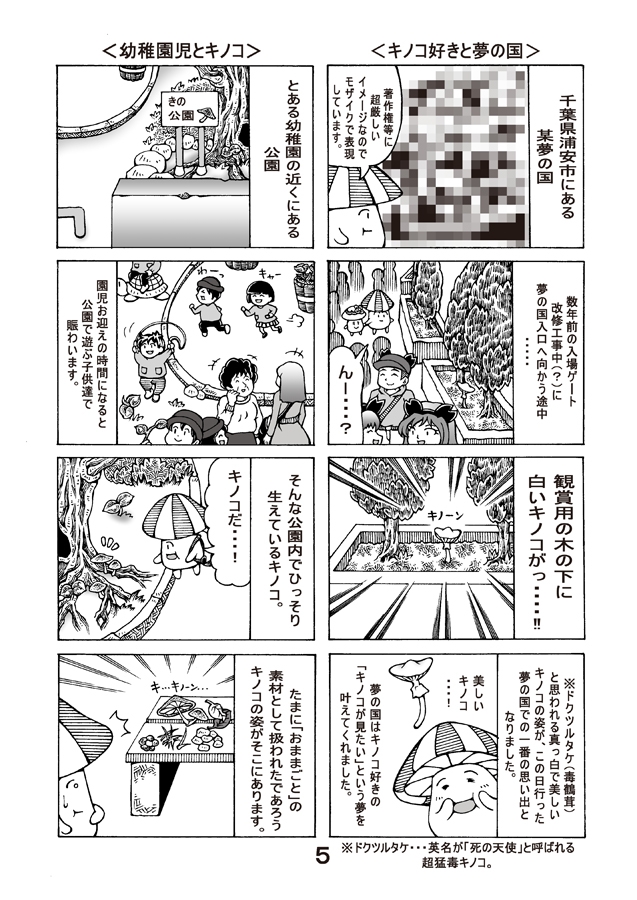 茸観賞放浪記2023年秋のキノコ達