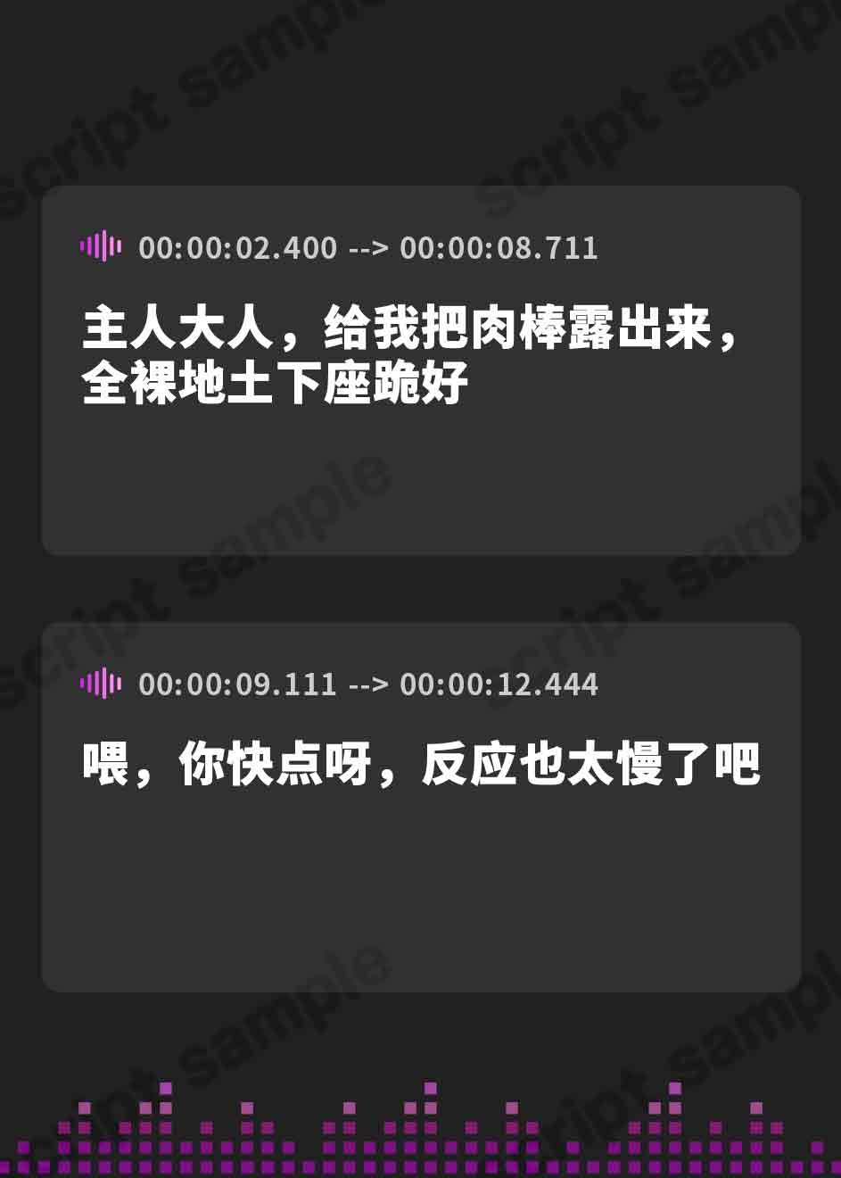 【簡体中文版】マゾザコご主人様とお仕置するメイド(逆転なし)