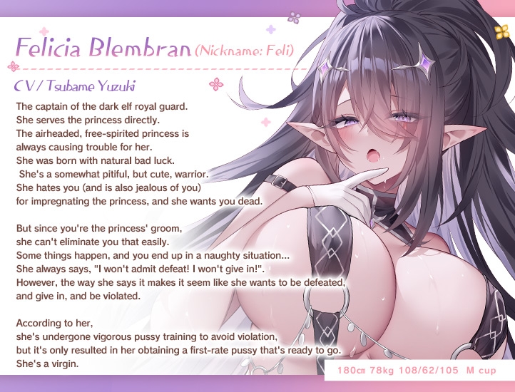 JK Elf's Parallel World Conception Plan ~(Self-proclaimed) Noble Dark Elf Knight Pride-Destroying Pleasure-Corrupting Love Impregnation~