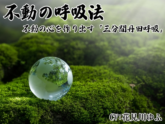 「不動の呼吸法」 -不動の心を養う3分間丹田呼吸法-