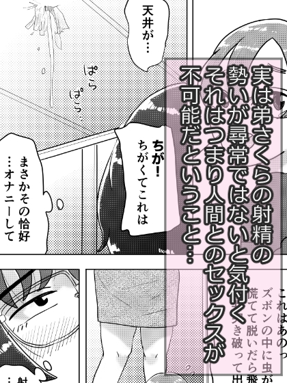 (弟への愛が)とってもおっきいお姉ちゃん～ちょっとワケあり姉弟のラブラブえっちな話～