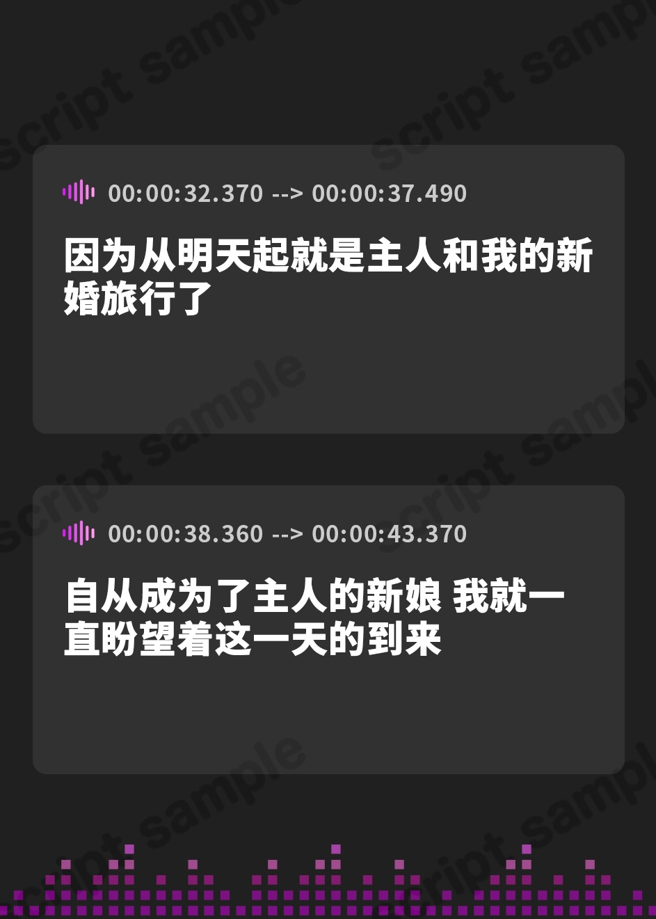 【簡体中文版】【KU100】ご奉仕メイドのあまあま新婚旅行エッチ ～ご主人さま、いつでもどこでもシていいですからね♪～【りふれぼプレミアムシリーズ】