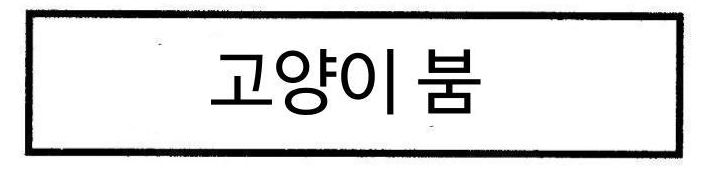 【韓国語版】4コマ漫画「猫ブーム」その2