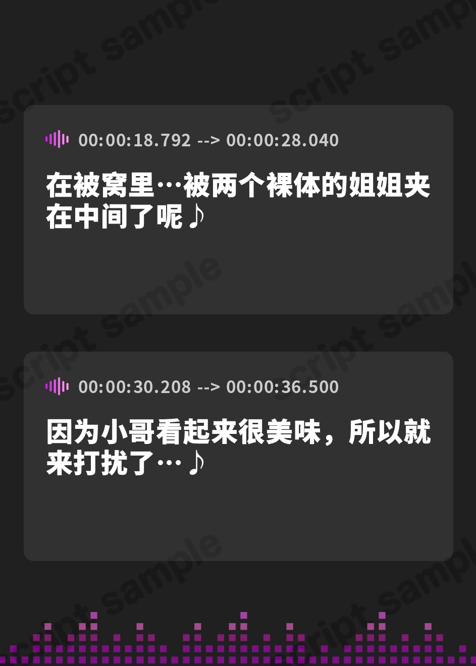 【簡体中文版】サキュバスお姉さんたちのねっとり添い寝搾精【全編吐息】